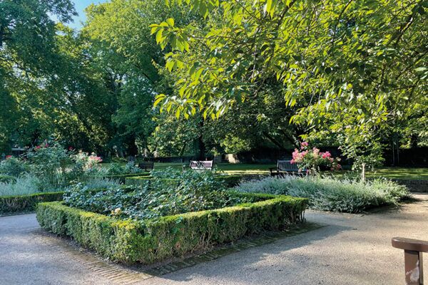 Drei grüne Geheimtipps in Düsseldorf